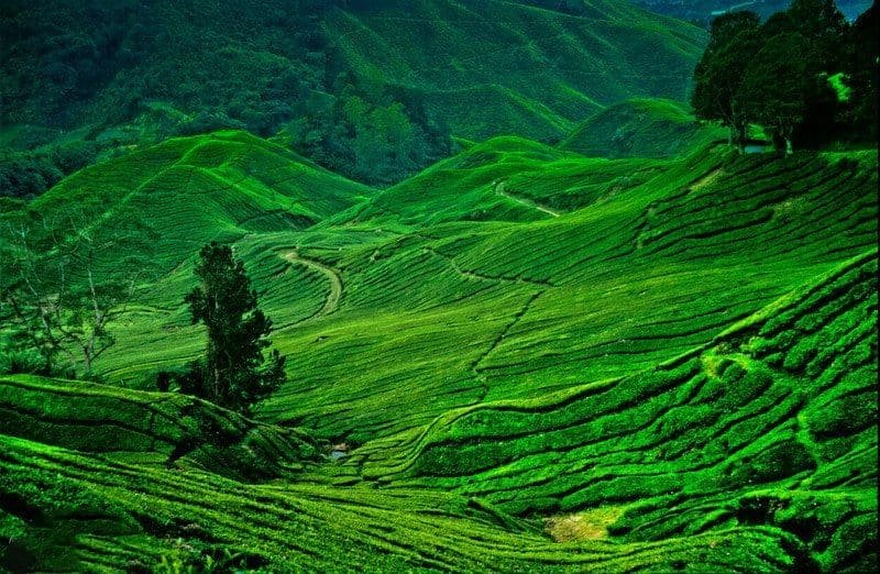 destination image